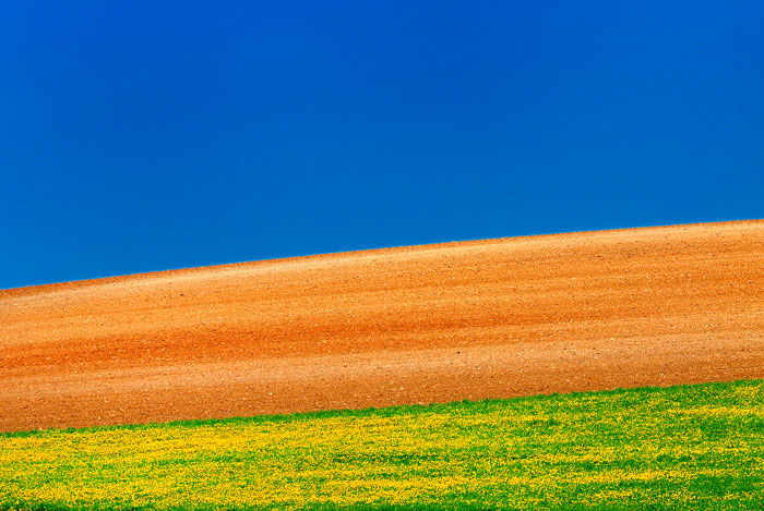 Detalles en La Mancha (Cuenca-Spain)