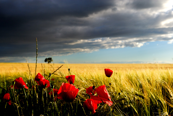 Colours (Tarazona de la Mancha - Spain)