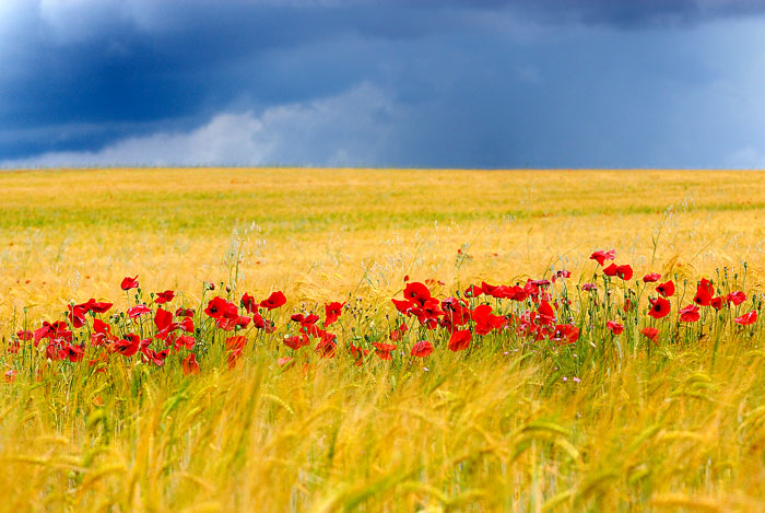 Colours of Spain