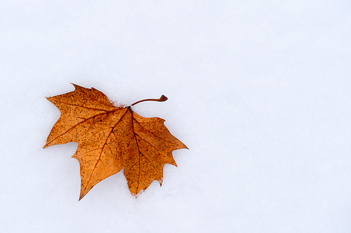 Winter (Tarazona de la Mancha - Spain)