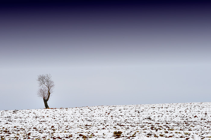 Invierno en Tarazona de La Mancha (Spain)