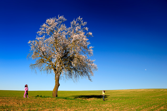 Spring in Spain (Tarazona de la Mancha)