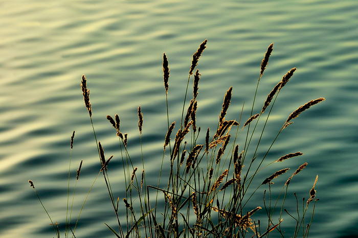 Lagunas de Ruidera (Spain)