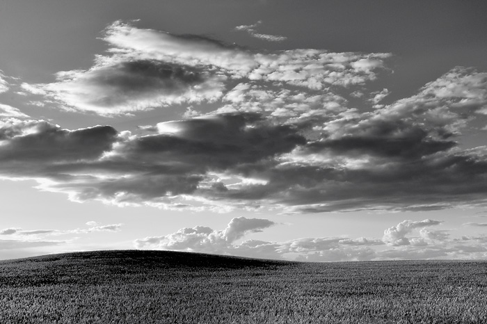 Landscapes of La Mancha (Spain)