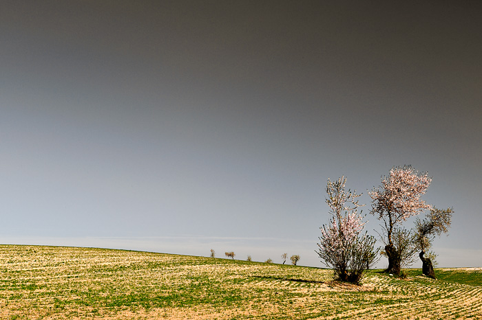 HDR (Tarazona-Spain)