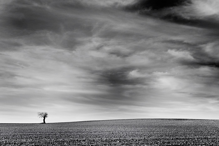 High contrast (Tarazona de la Mancha-Spain)