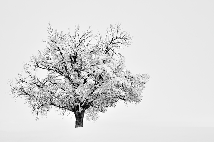La gran nevada (Tarazona de la Mancha-Albacete)