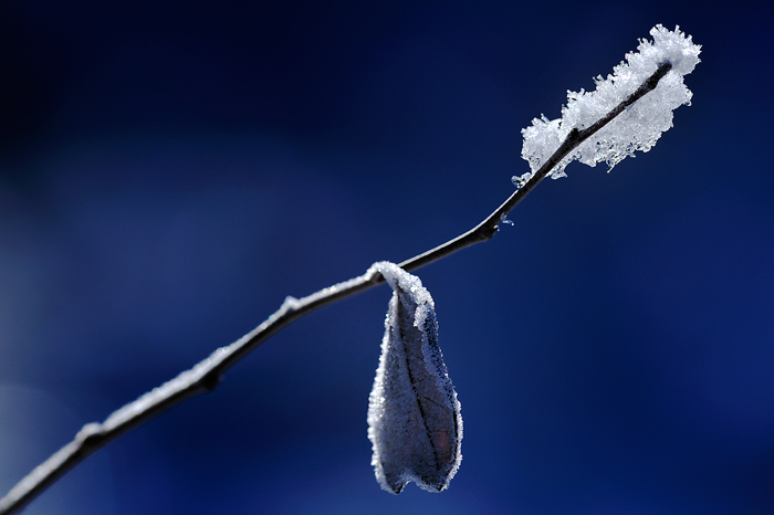 Cold (Tarazona de la Mancha - Spain)