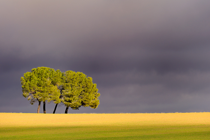 Light (Tarazona de la Mancha - Spain)
