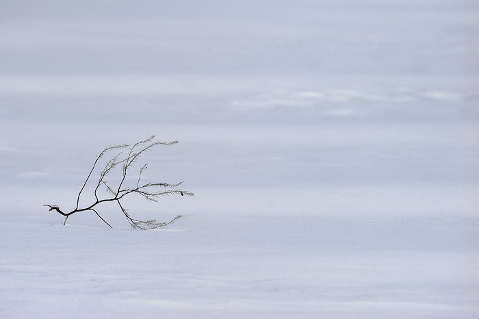 Minimalis in the snow (Tarazona de la Mancha - Spain)