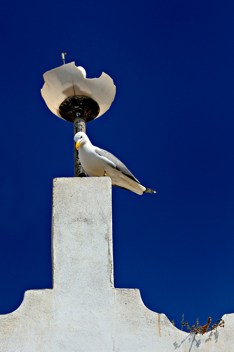 Mazarrón Puerto (Murcia)