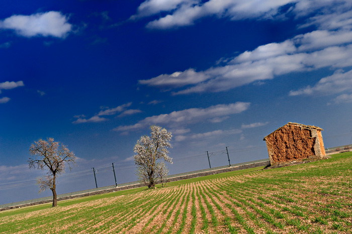 Old & Young (Albacete - Spain)