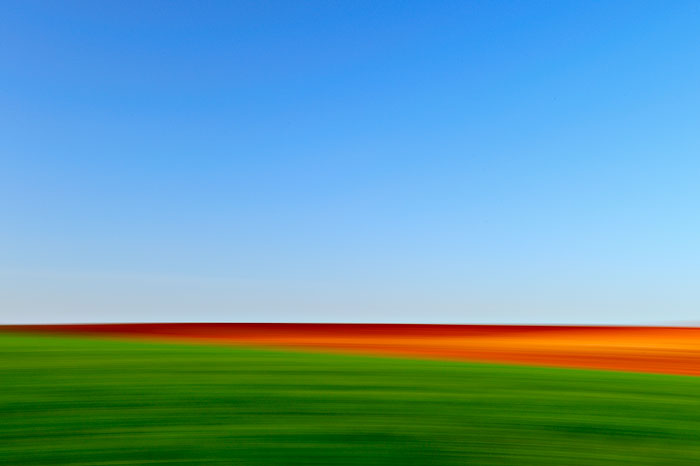 Colours of La Mancha (Tarazona de la Mancha - Spain)