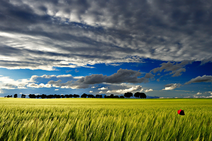 Colours & Contrast (Tarazona de la Mancha - Spain)