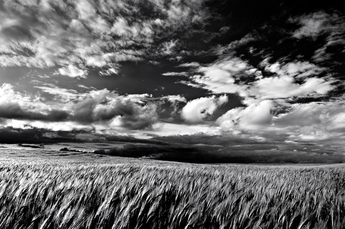 High Contrast (Tarazona de La Mancha - Albacete)