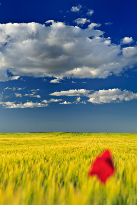 Colours Vision (Tarazona de la Mancha - Spain)
