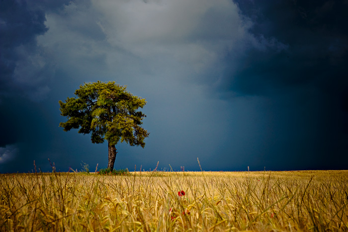 Dramatic Sky