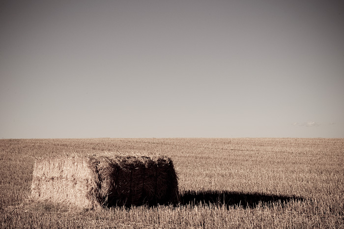 Summer Spain (Tarazona de la Mancha)