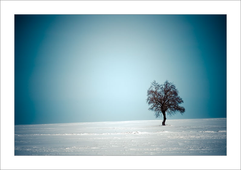 Winter (Tarazona de la Mancha - Spain)