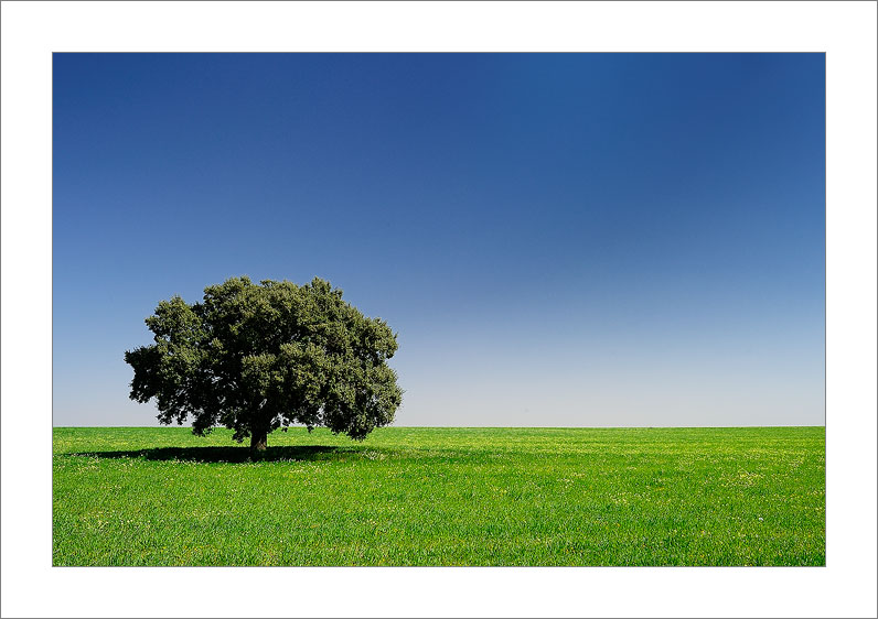 Green & Blue (Tarazona de la Mancha - Spain)