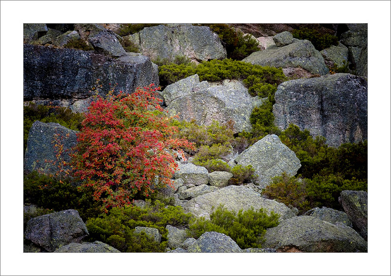 Automn (Soria - Spain)