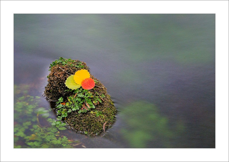 Automn (Cuenca)