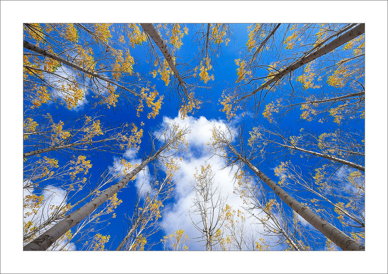 Automn (Albacete)