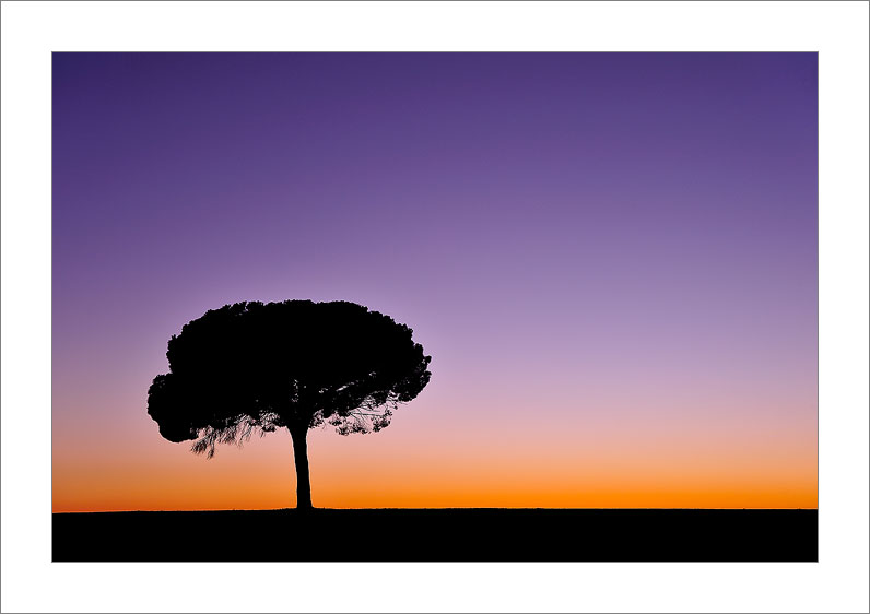 Bye 2011 (Goodbye 2012)