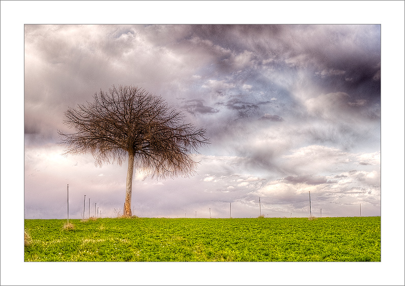 Hdr (Tarazona de la Mancha - Spain)