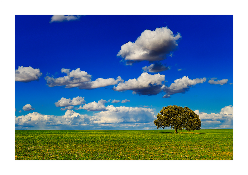Green & Blue (Tarazona de la Mancha - Spain)