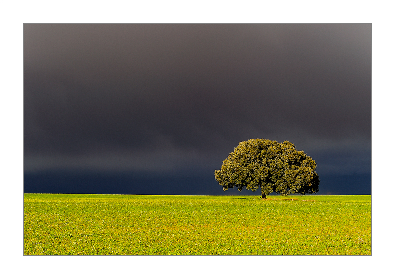 Dramatik Sky (Tarazona de la Mancha - Spain)