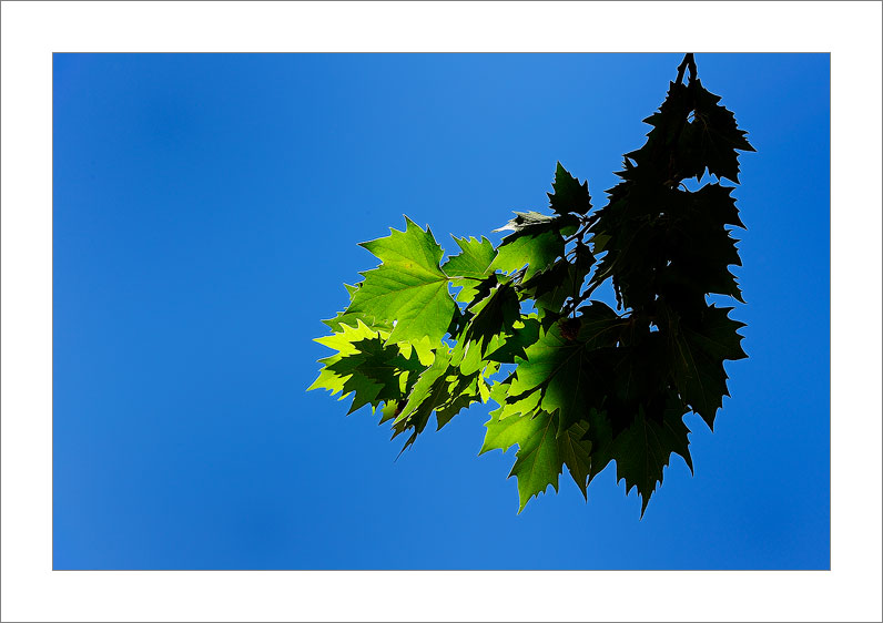 Ray of hope (Spain)