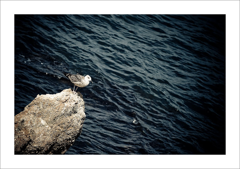 Tabarca Island (Spain)