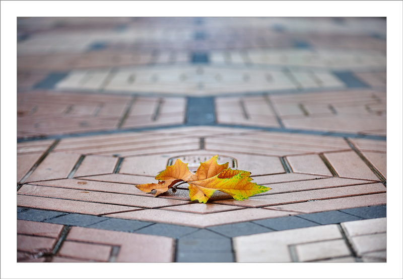 Automn Albacete Spain