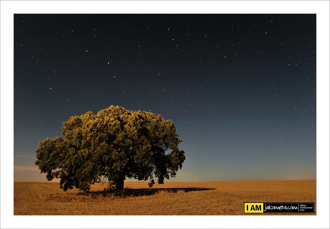 Nocturna