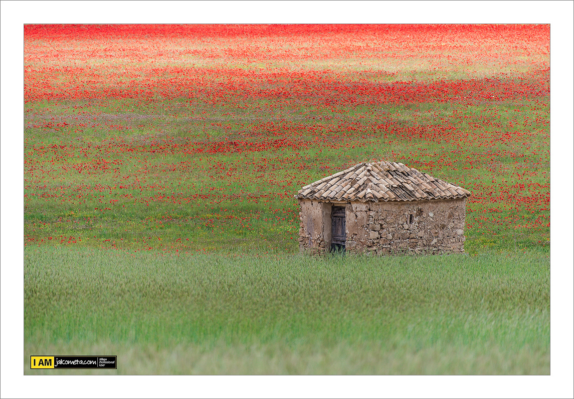 House Spring