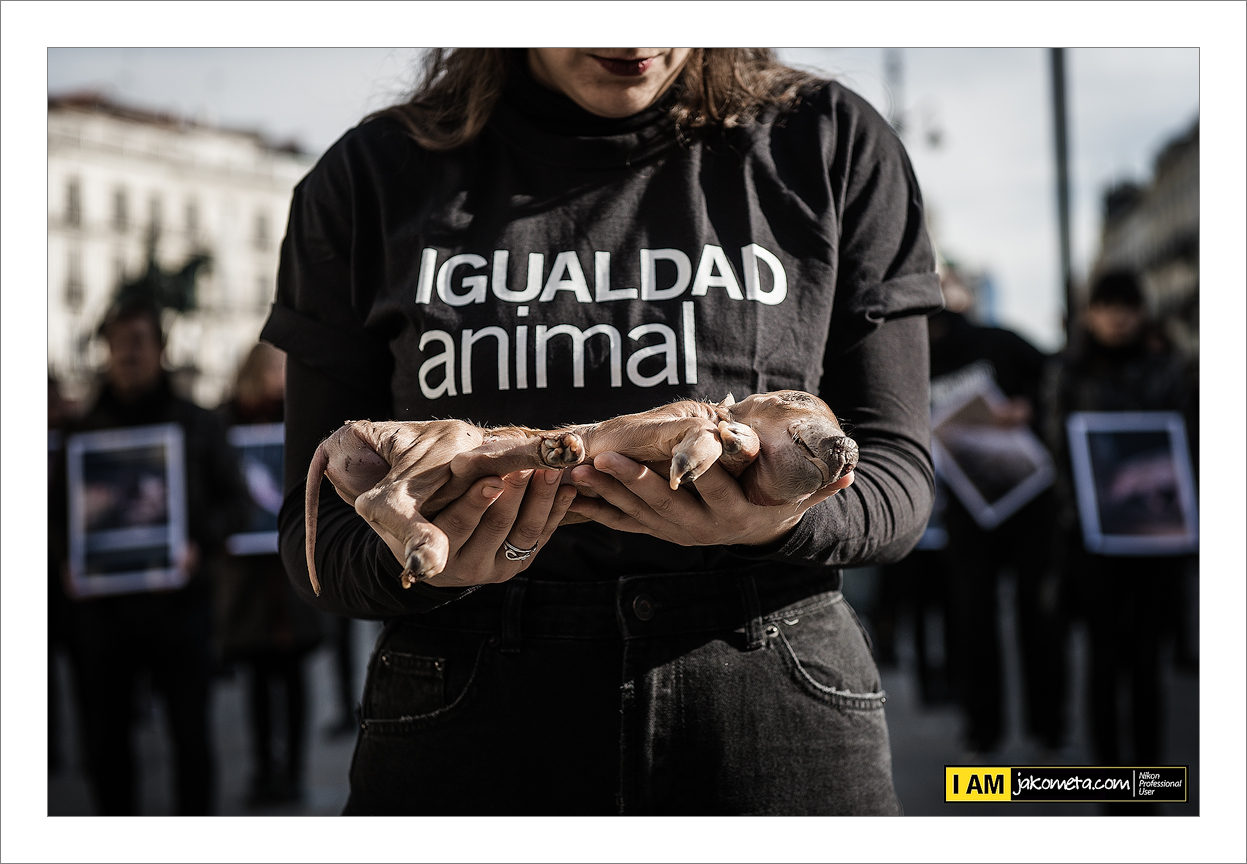 Igualdad Animal