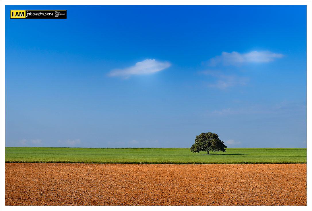 Colours of Spring