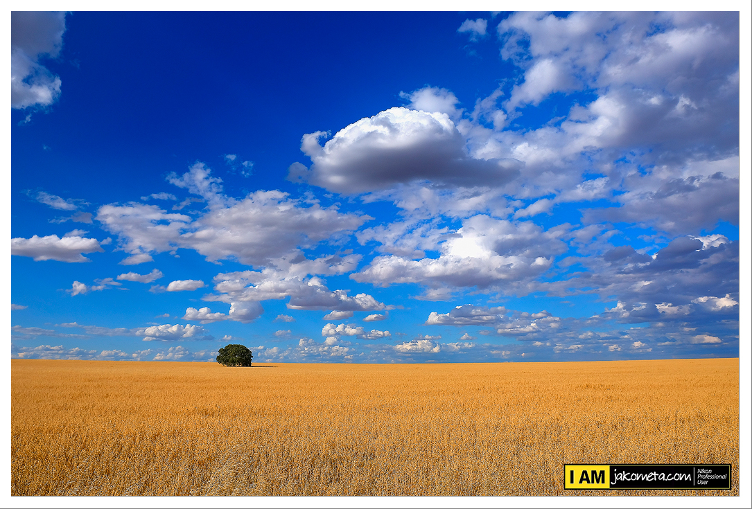 Campos de La Mancha