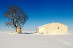 Invierno en La Mancha (Tarazona de la Mancha-Spain)