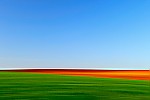 Colours of La Mancha (Tarazona de la Mancha - Spain)